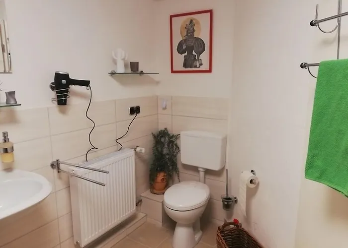 Schulinska وينتربرغ